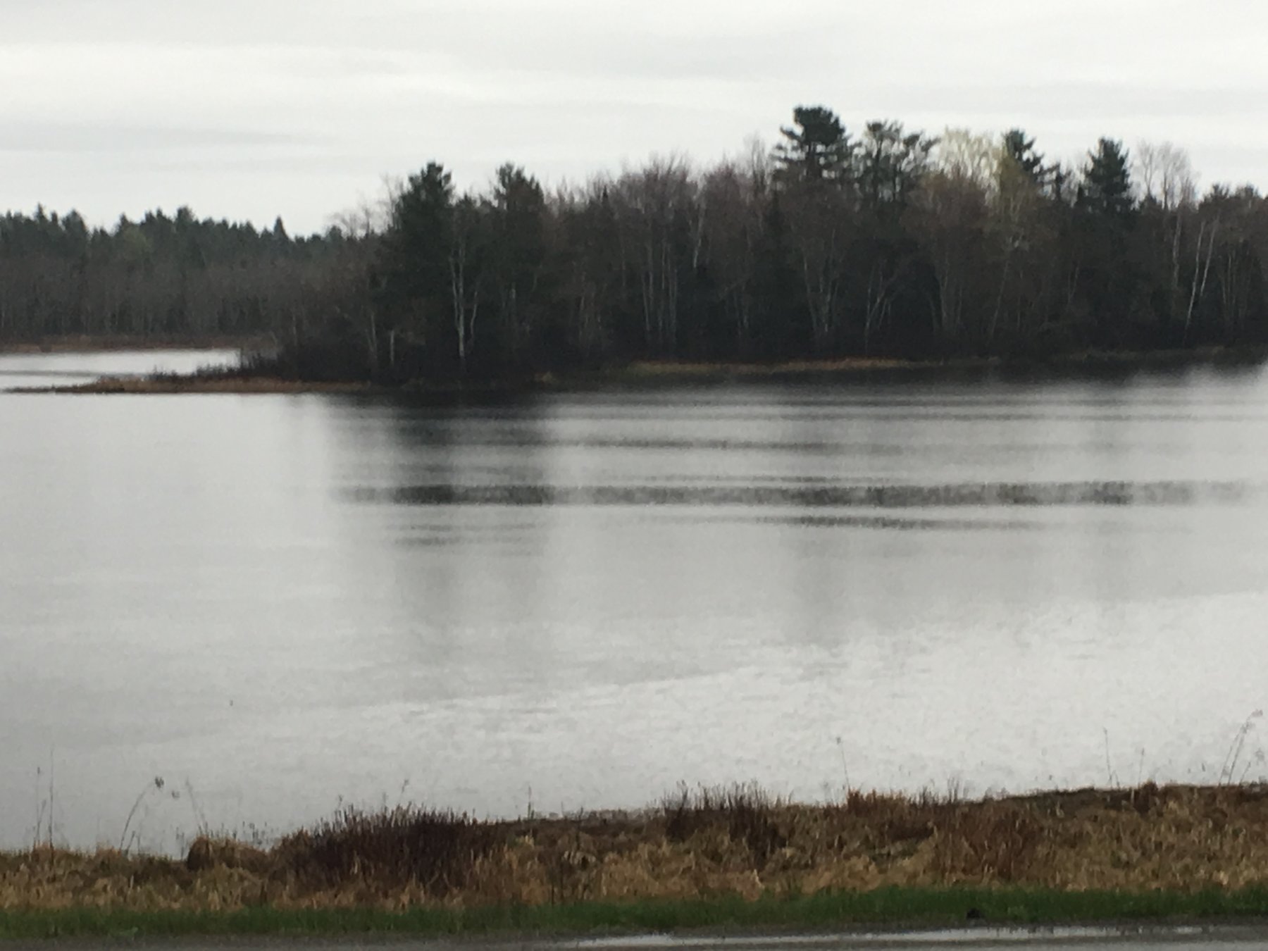 Maine, May 5, 2017.