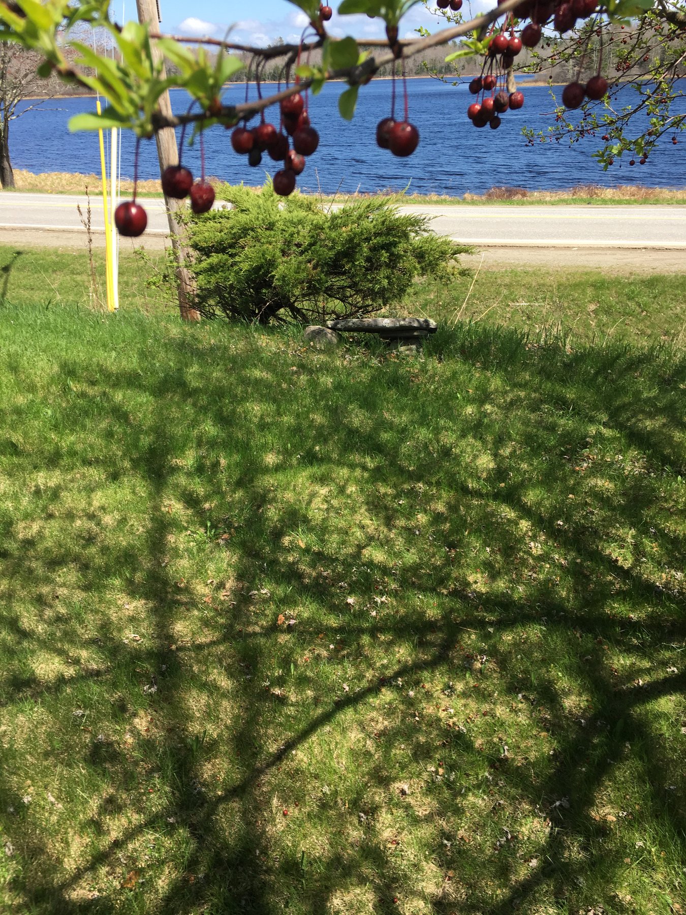 Maine, May 7, 2017.