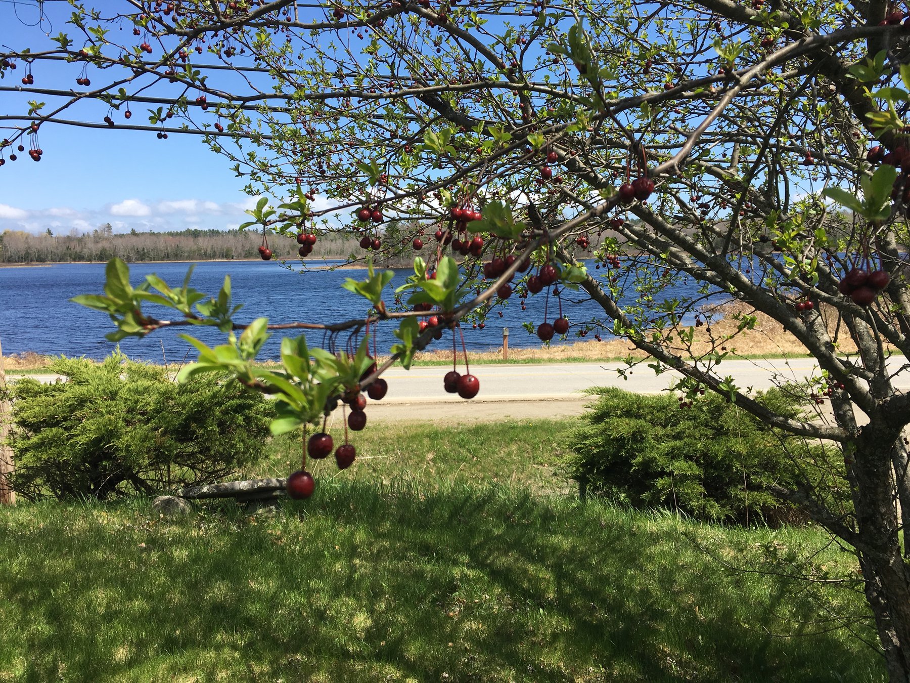 Maine, May 7, 2017.