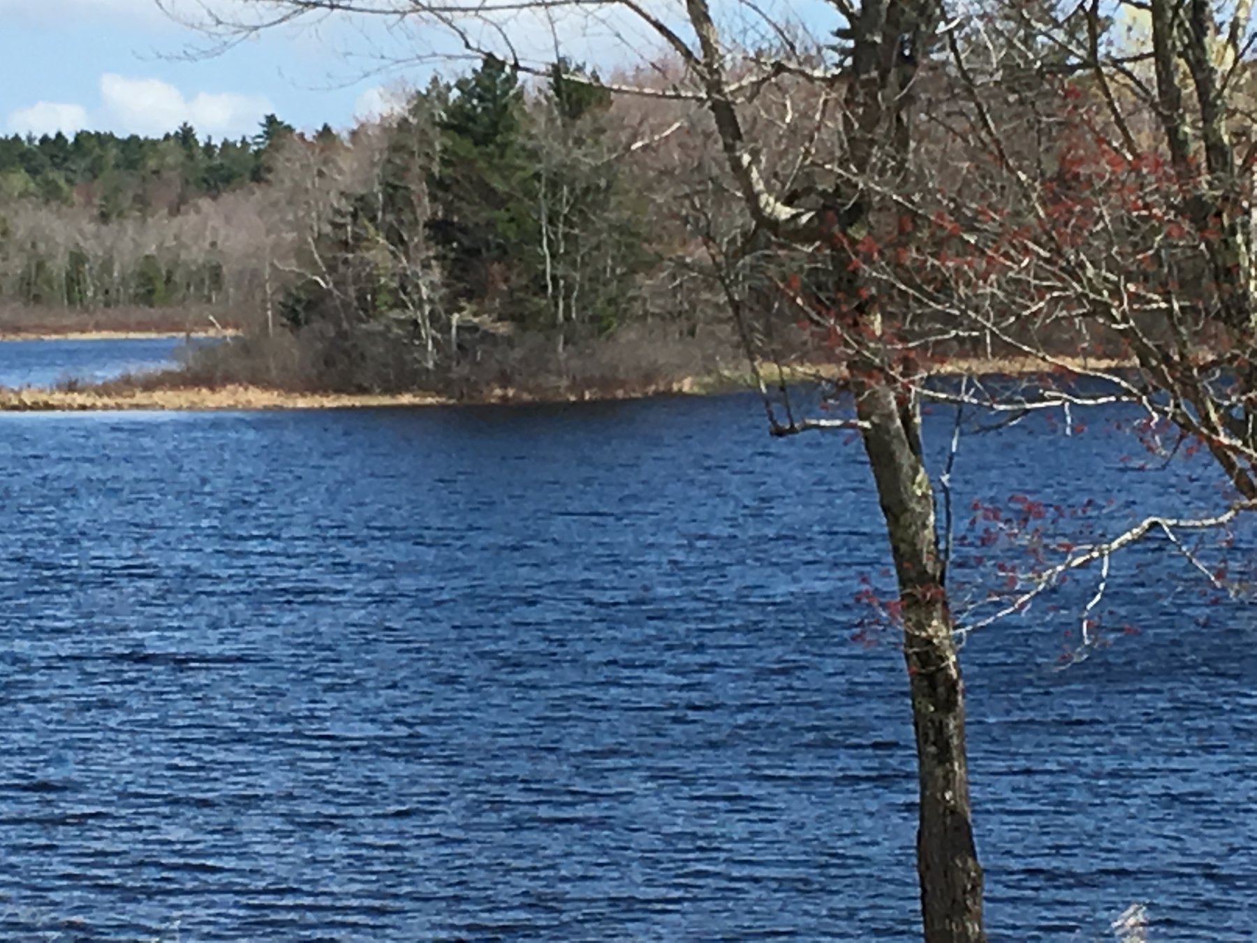 Maine, May 7, 2017.