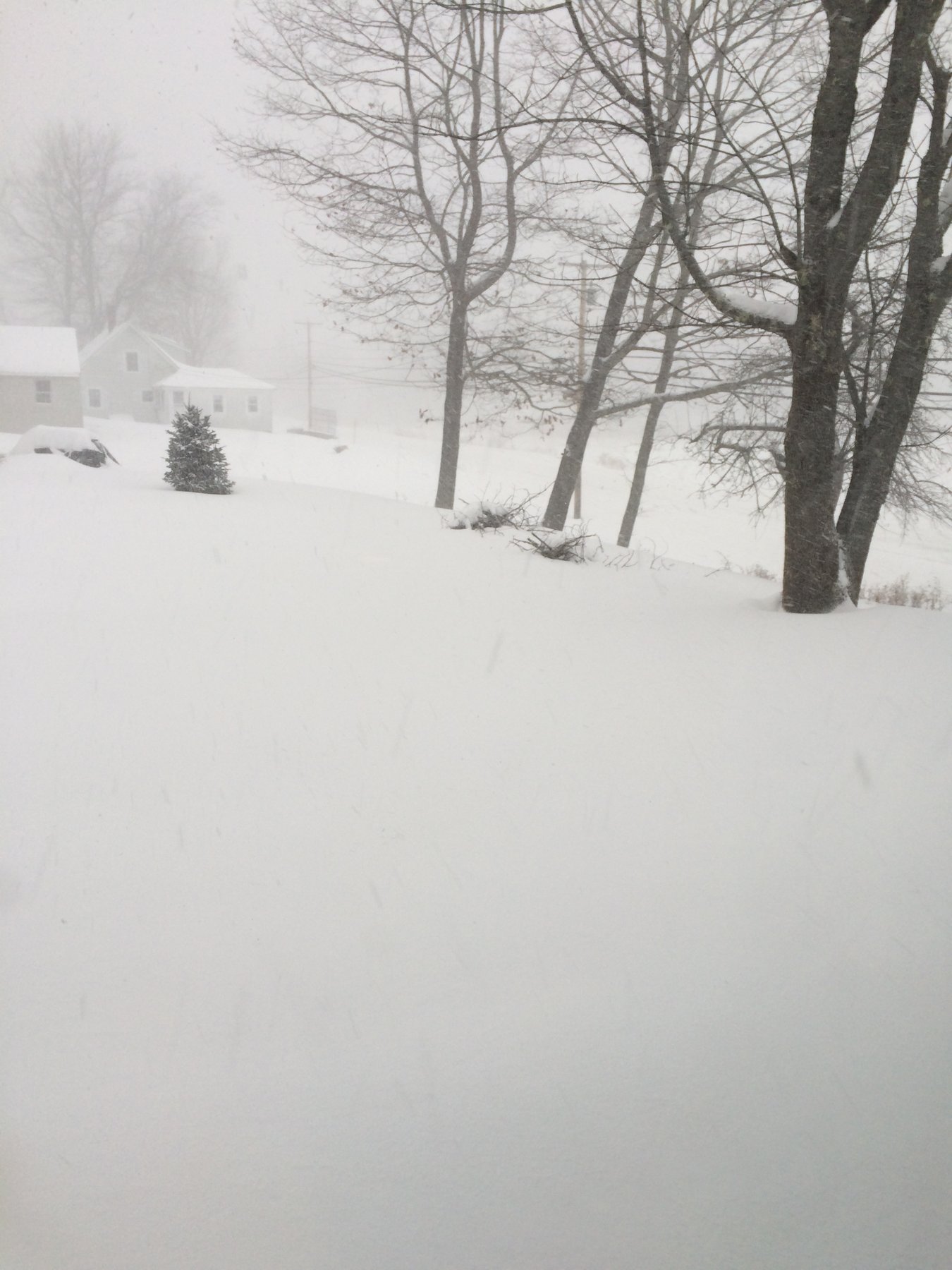 Maine, December 25, 2017.