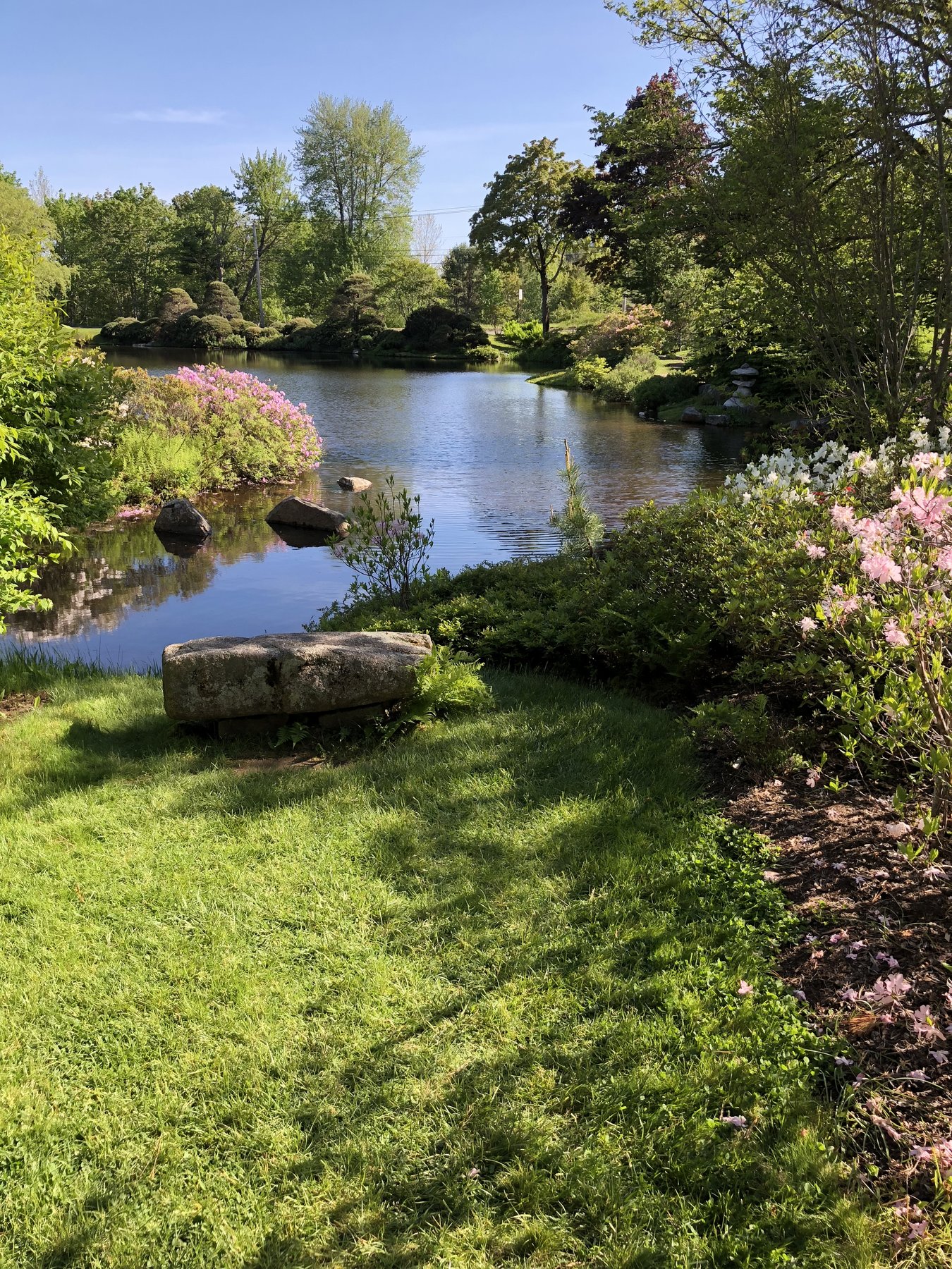 Maine, June 3, 2018.