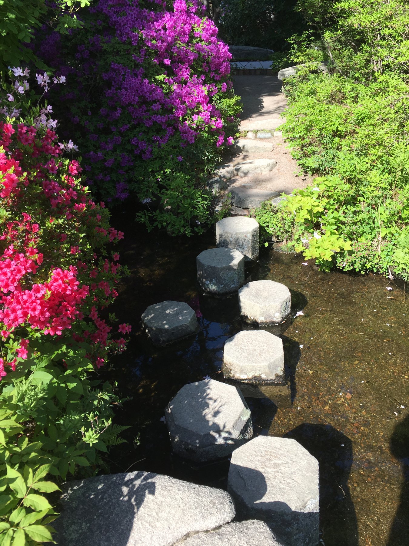 Maine, June 3, 2018.