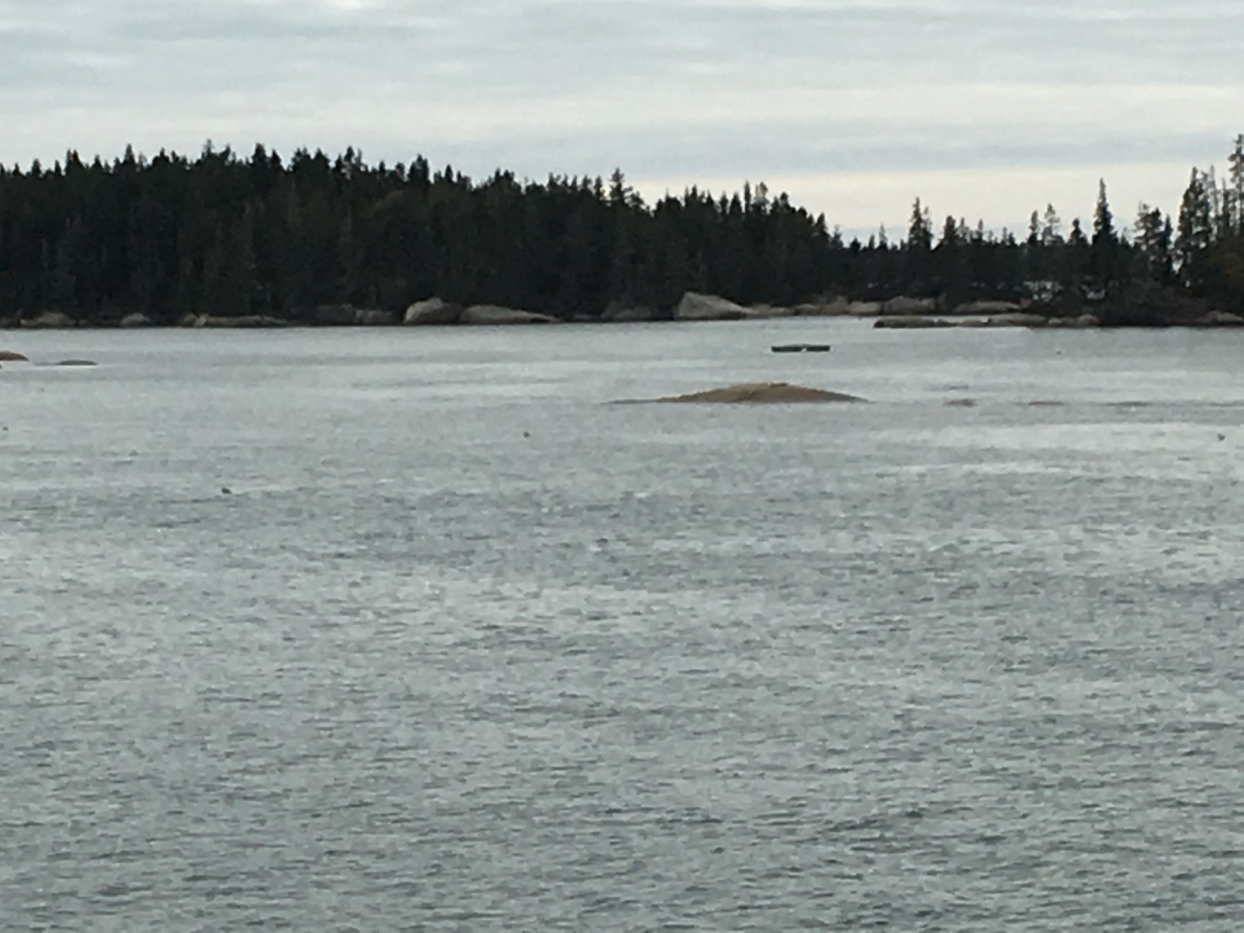 Maine, October 8, 2018.