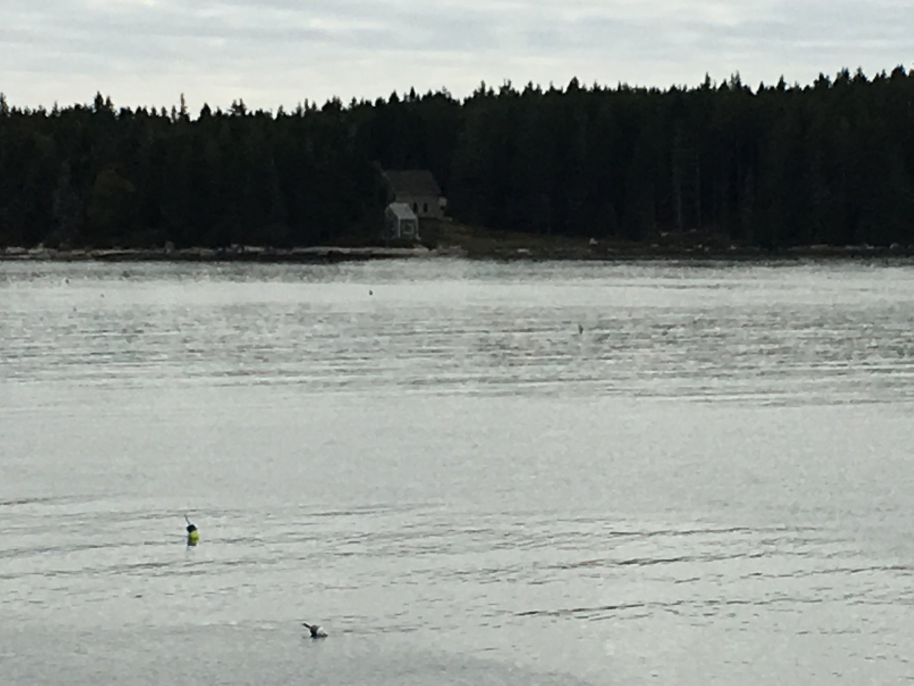 Maine, October 8, 2018.