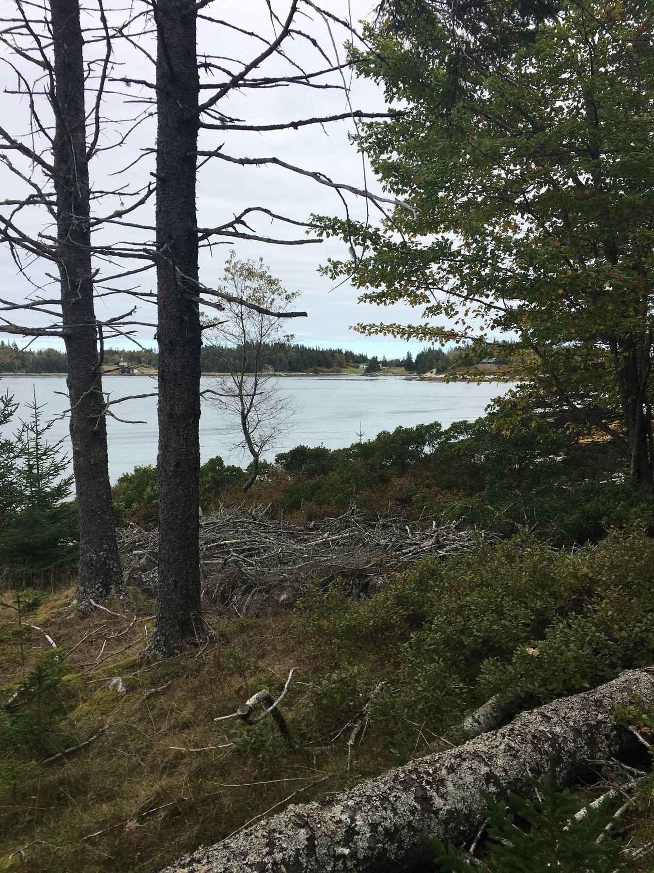 Maine, October 8, 2018.