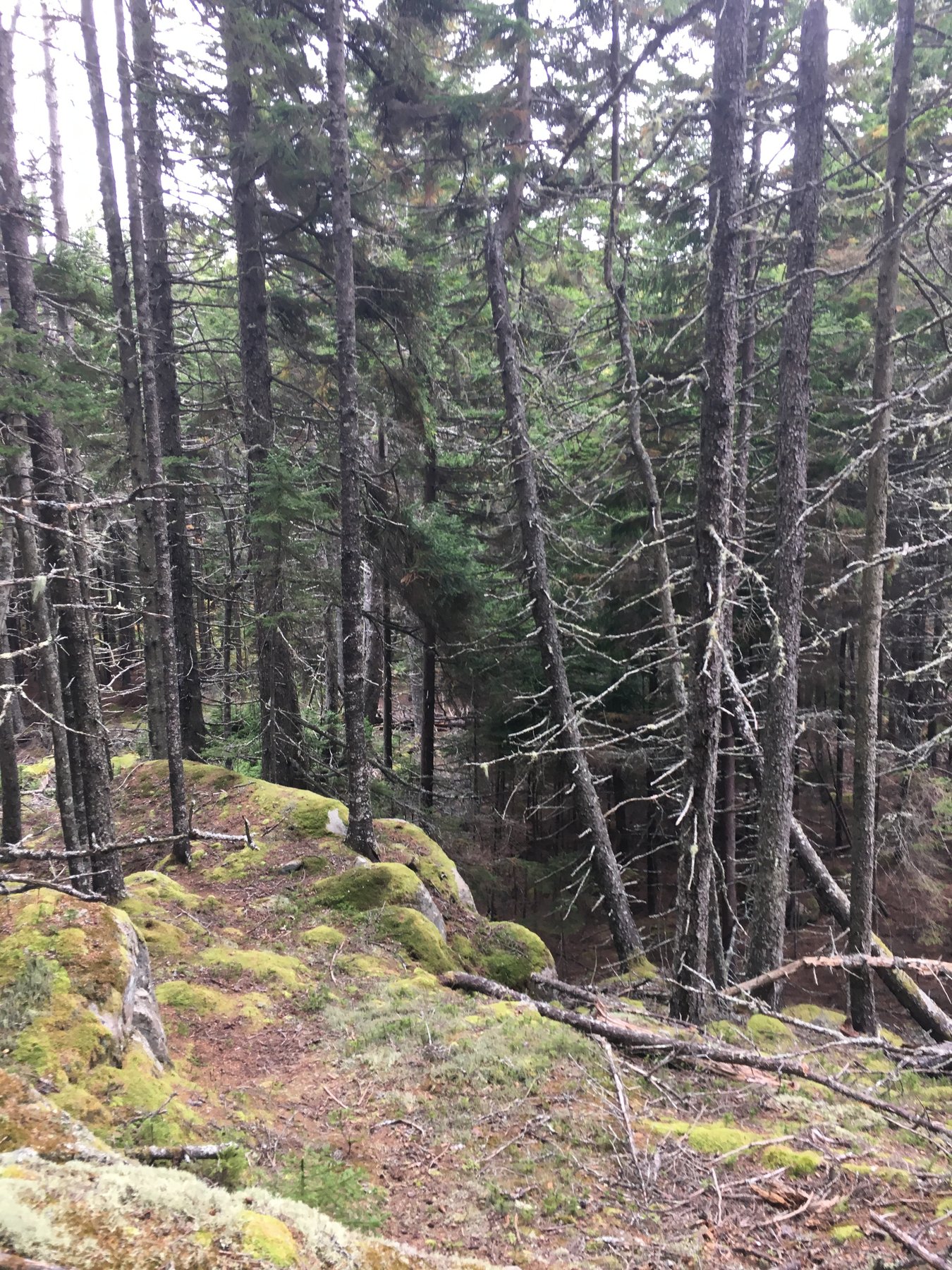 Maine, October 8, 2018.
