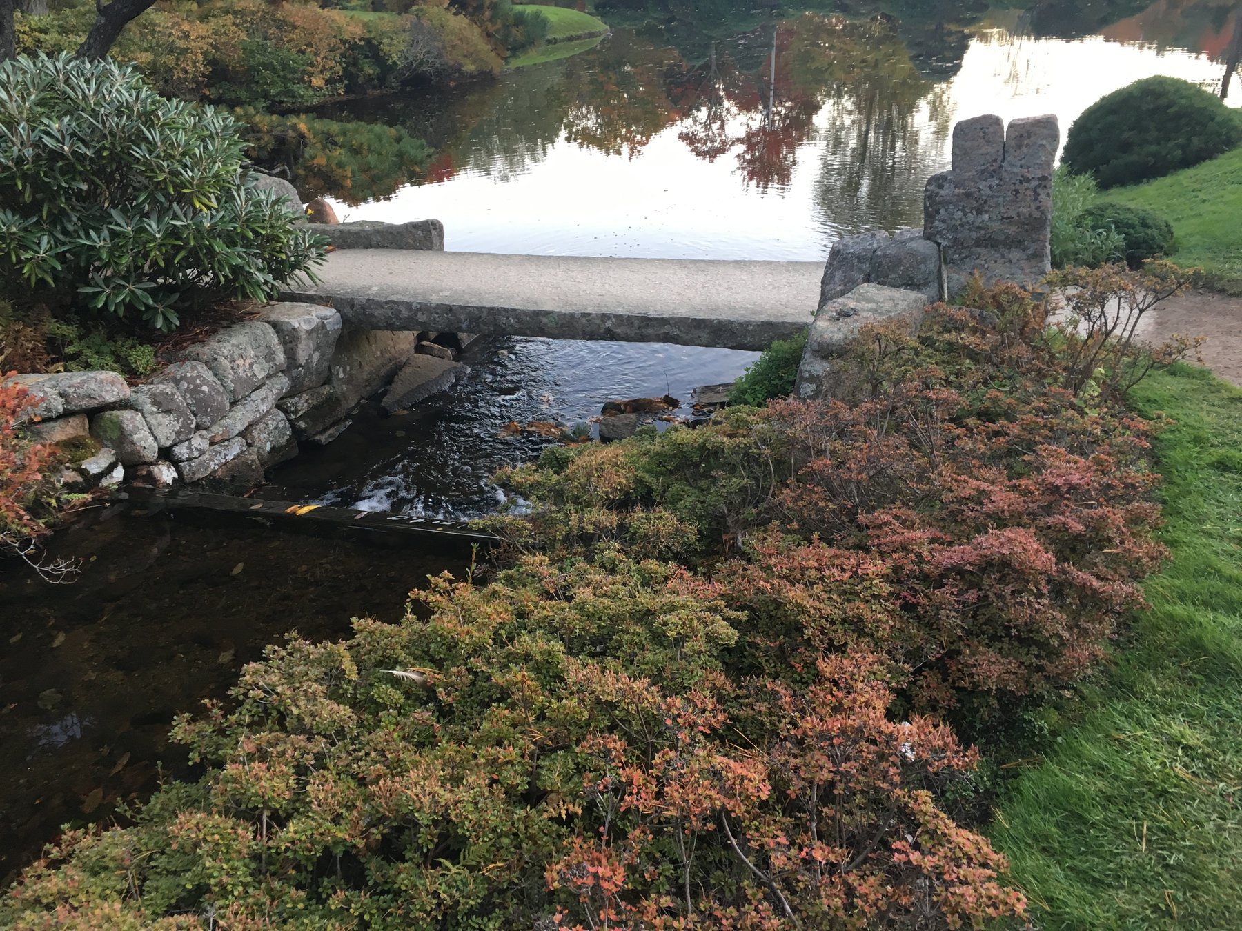 Maine, October 14, 2018.