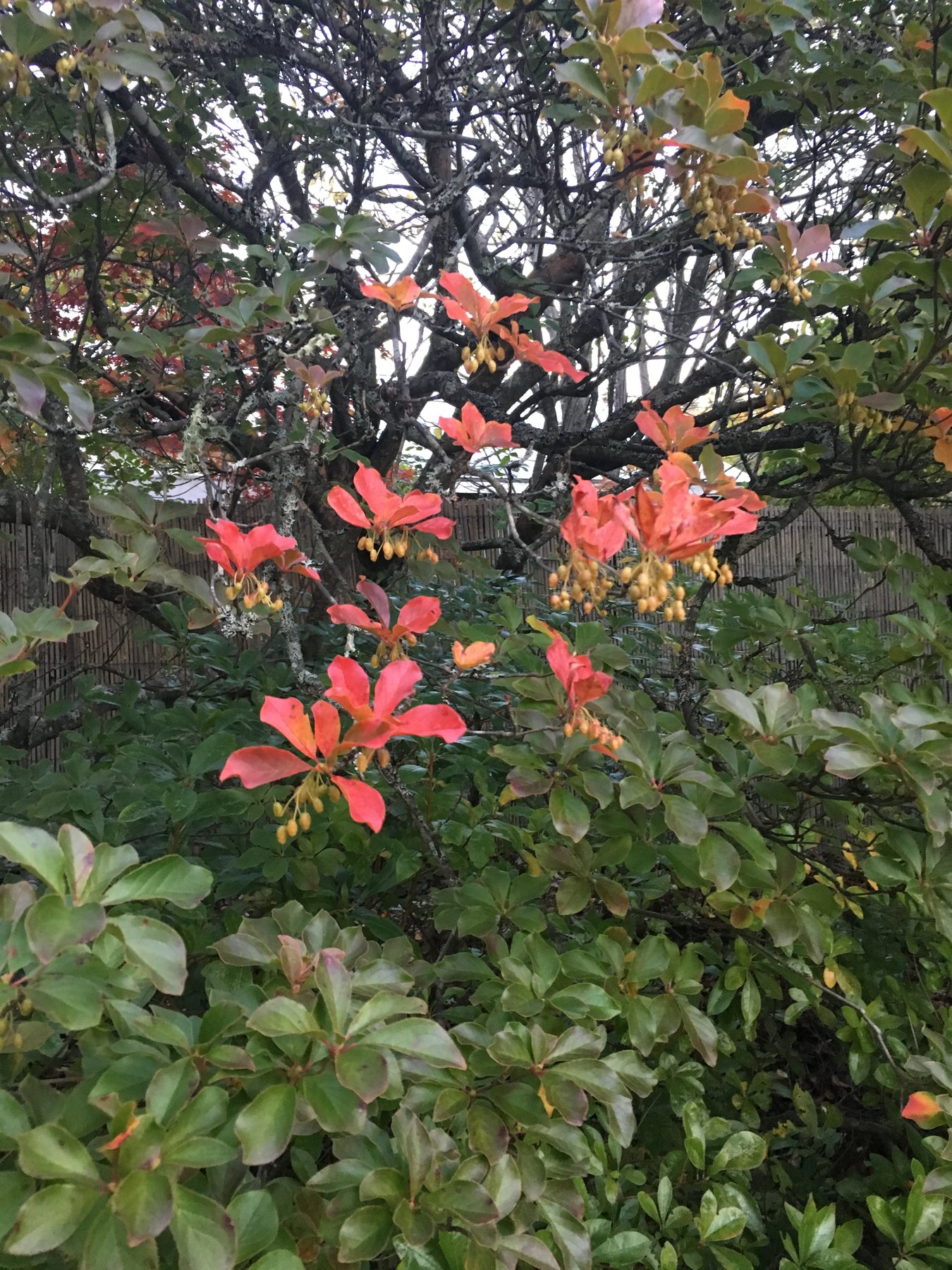Maine, October 14, 2018.