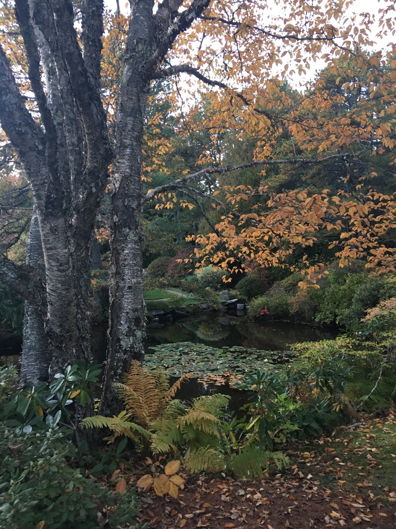 Maine, October 14, 2018.