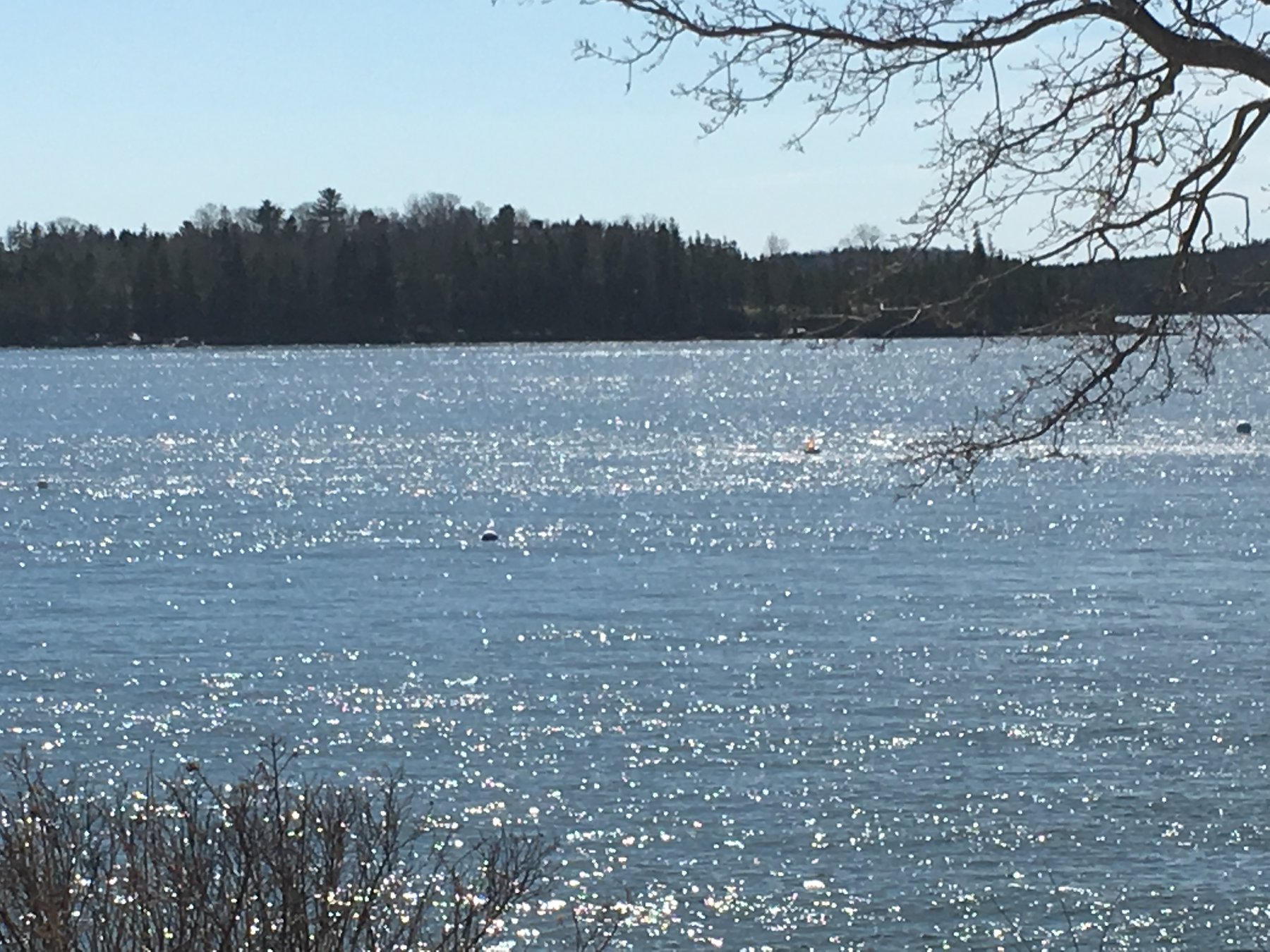 Maine, March 24, 2019.