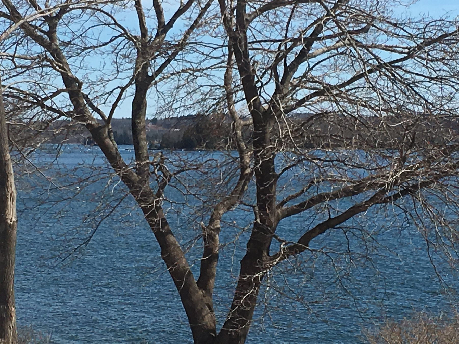 Maine, March 24, 2019.