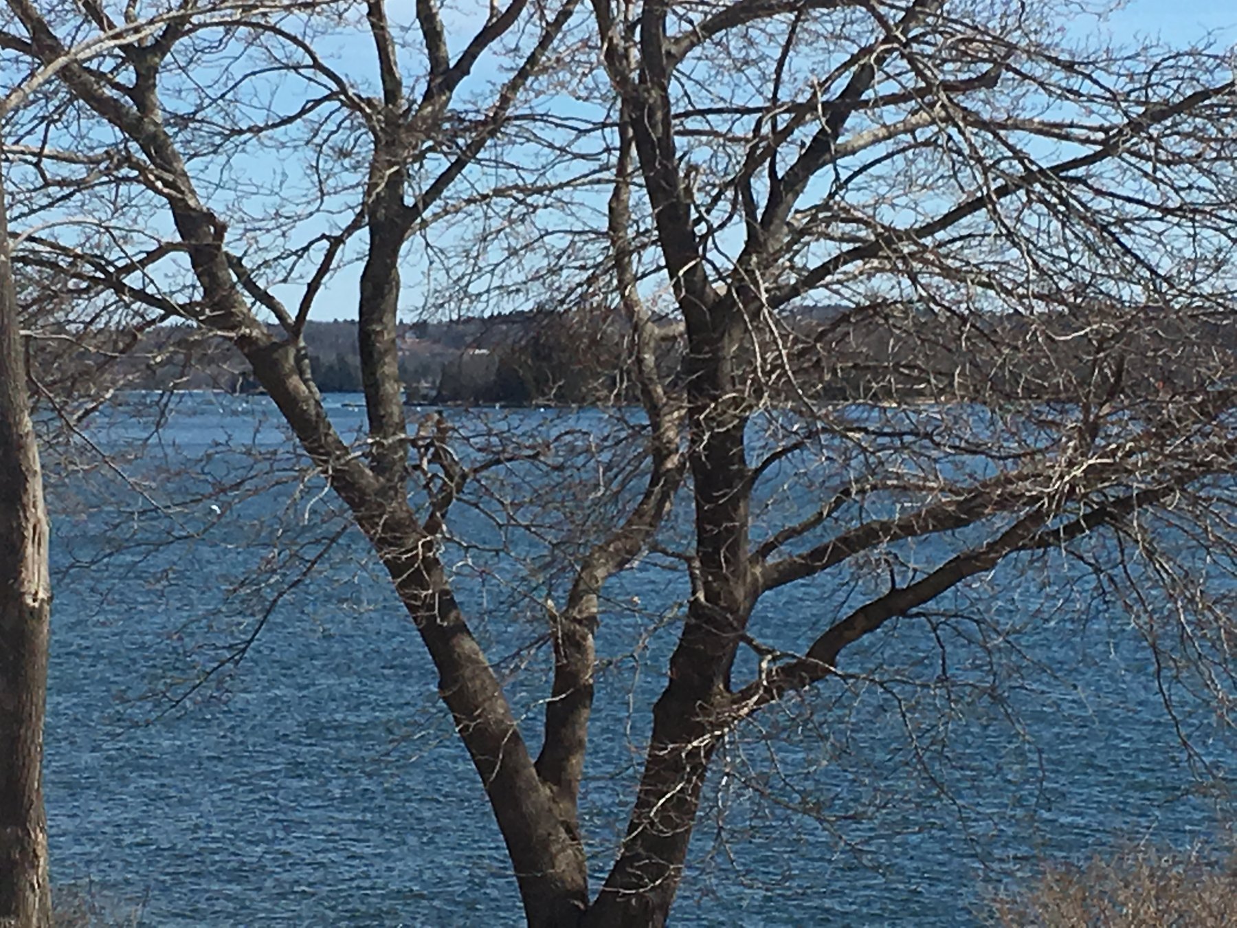 Maine, March 24, 2019.