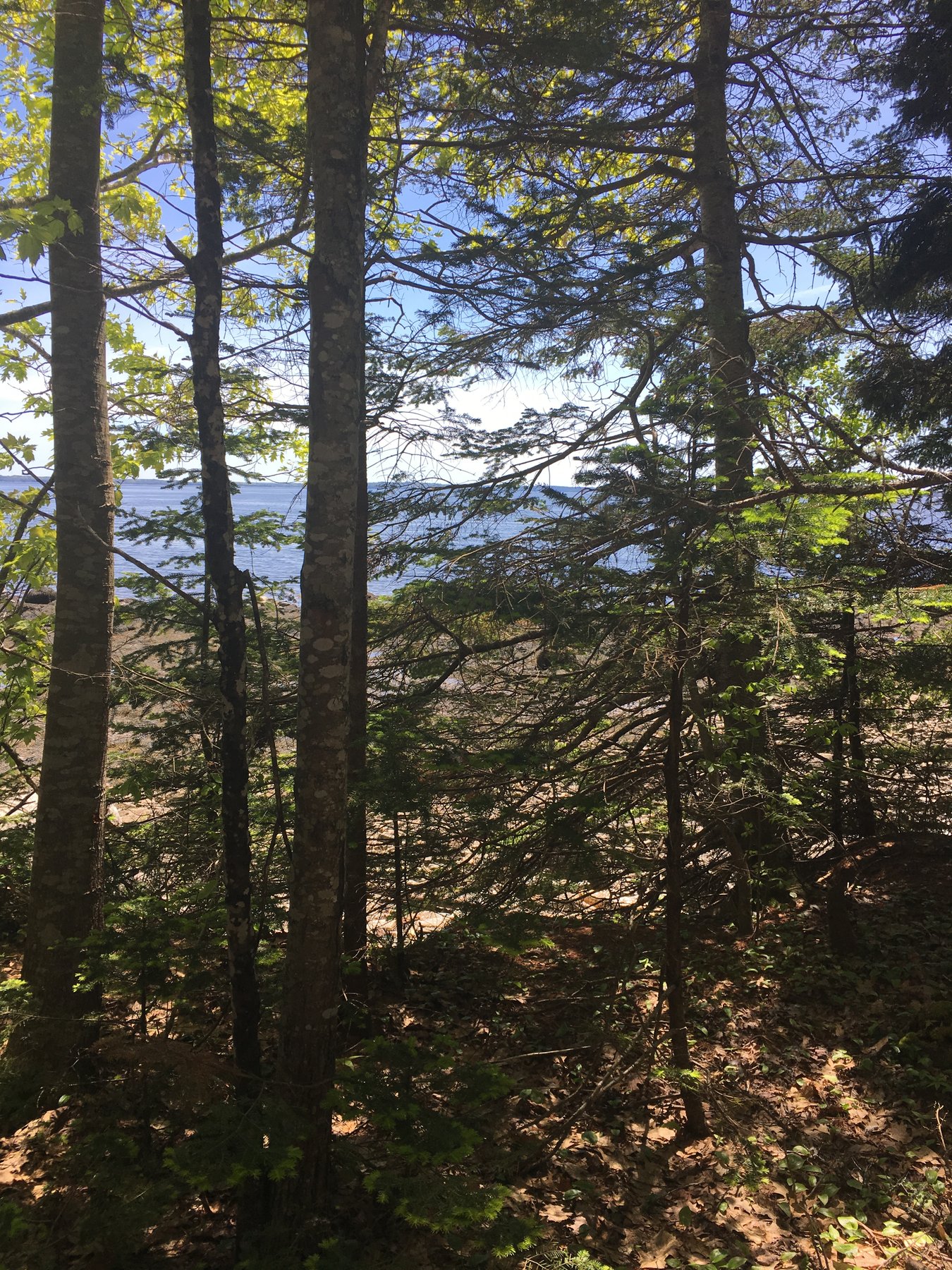 Maine, June 9, 2019.