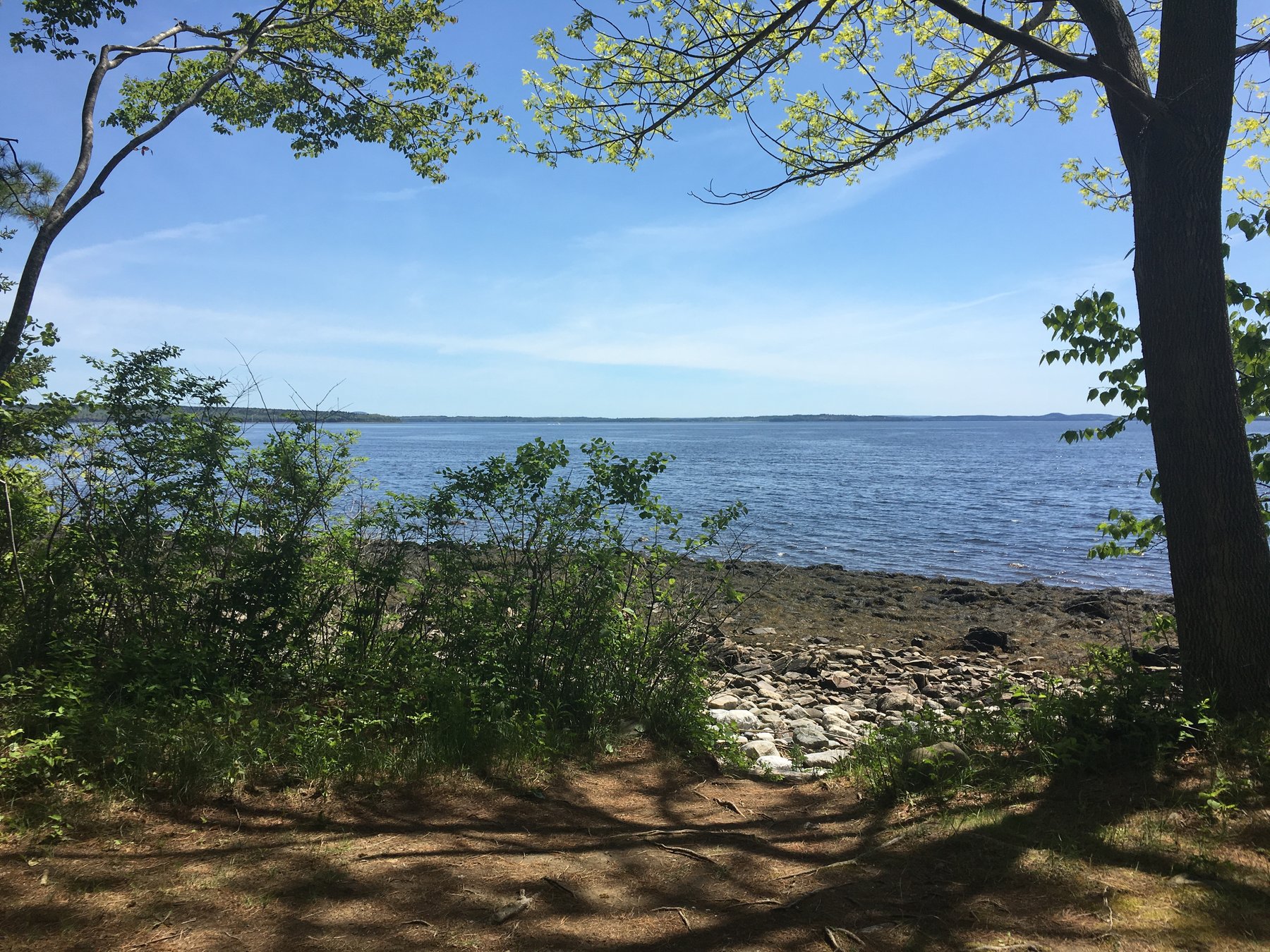 Maine, June 9, 2019.