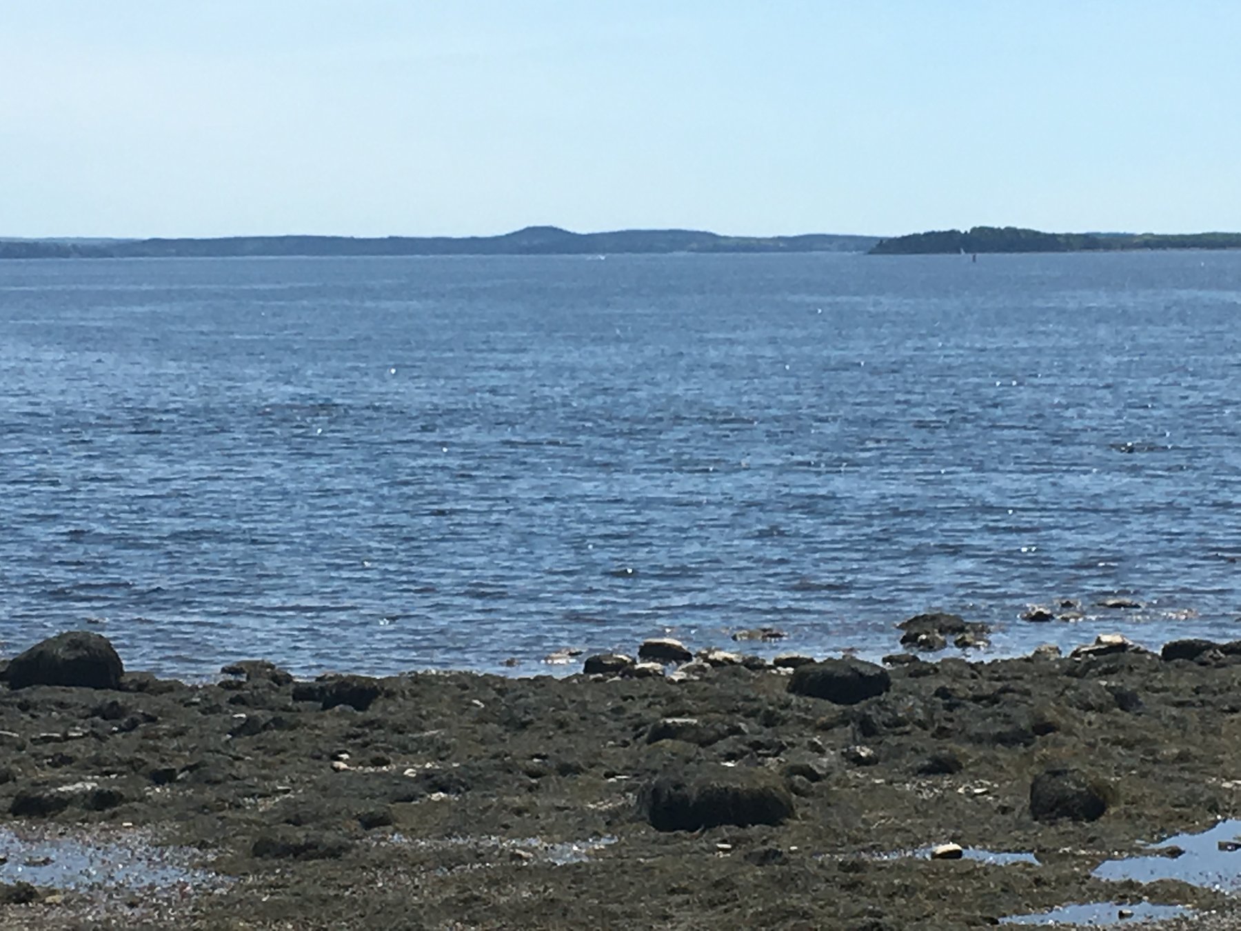 Maine, June 9, 2019.