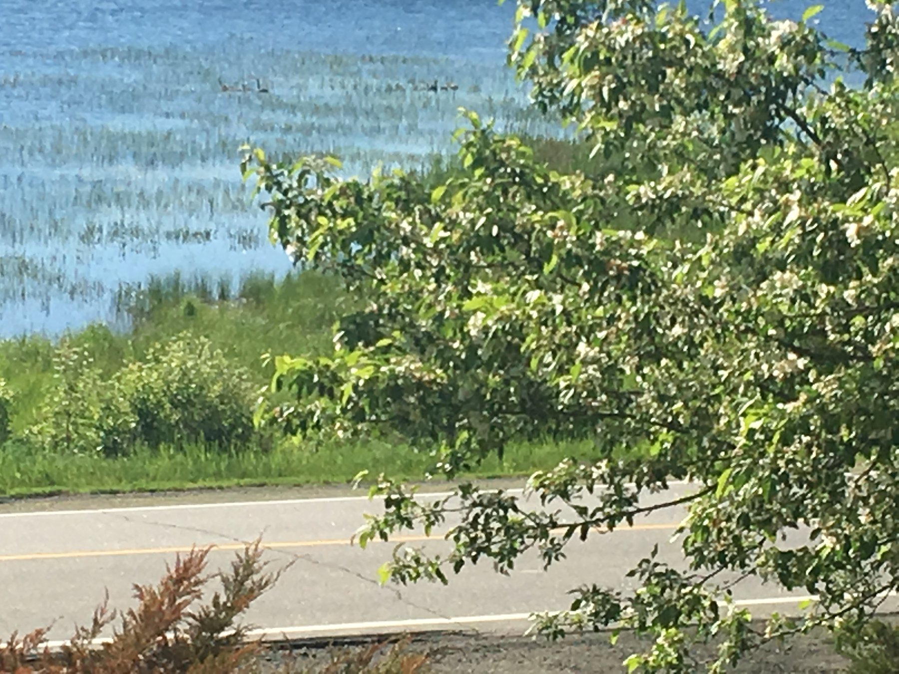 Maine, June 12, 2019.