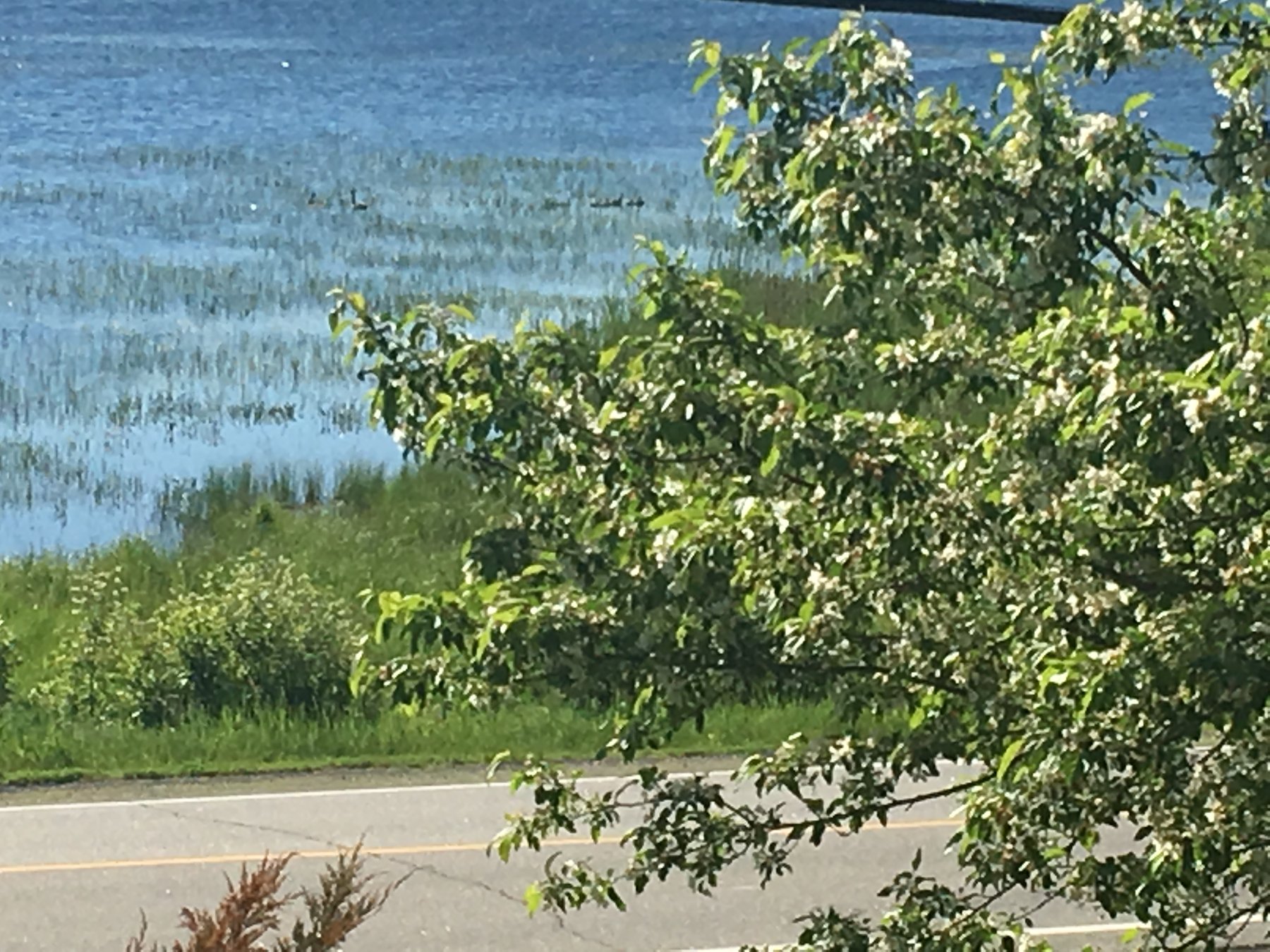 Maine, June 12, 2019.