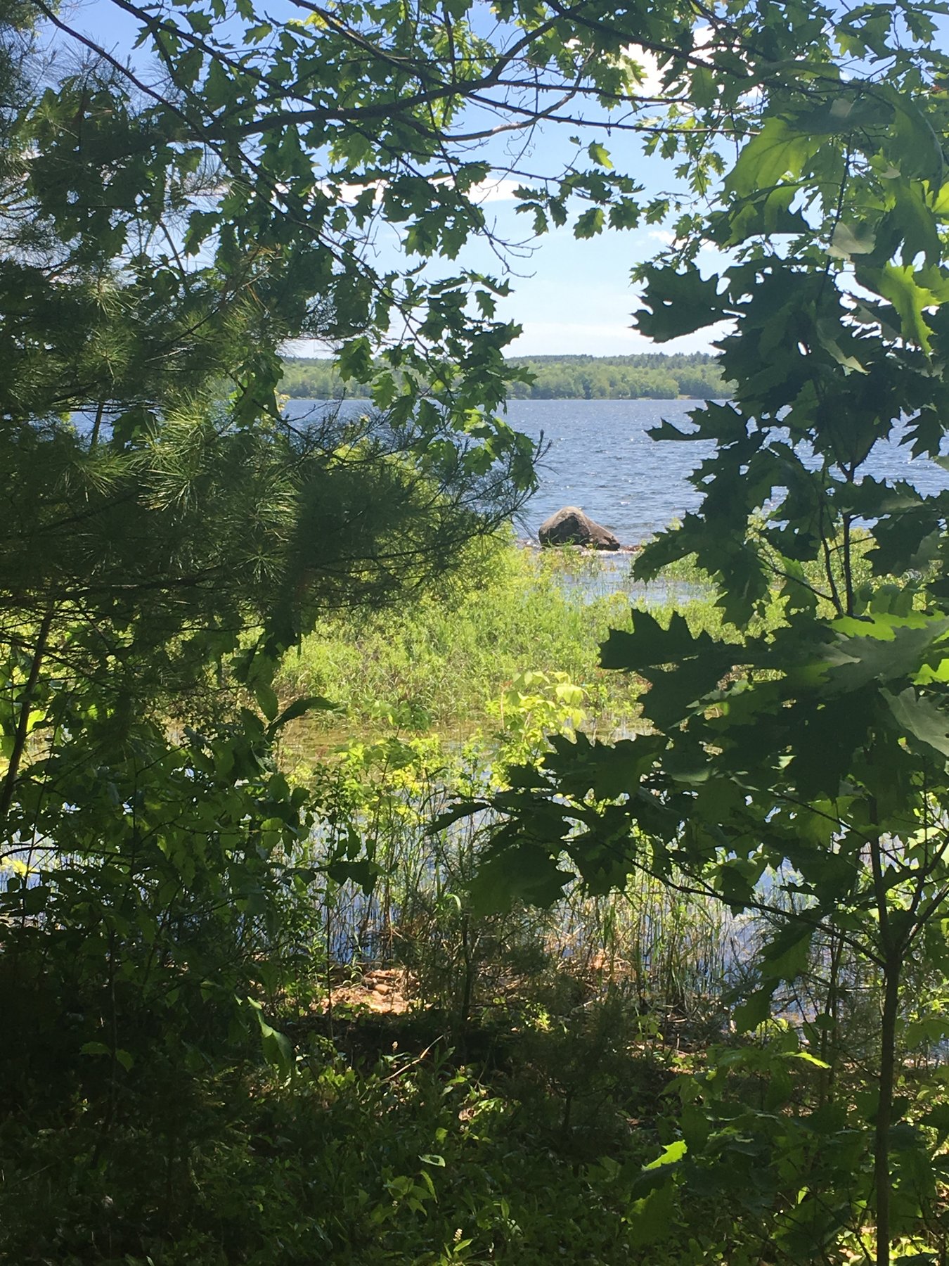 Maine, June 15, 2019.