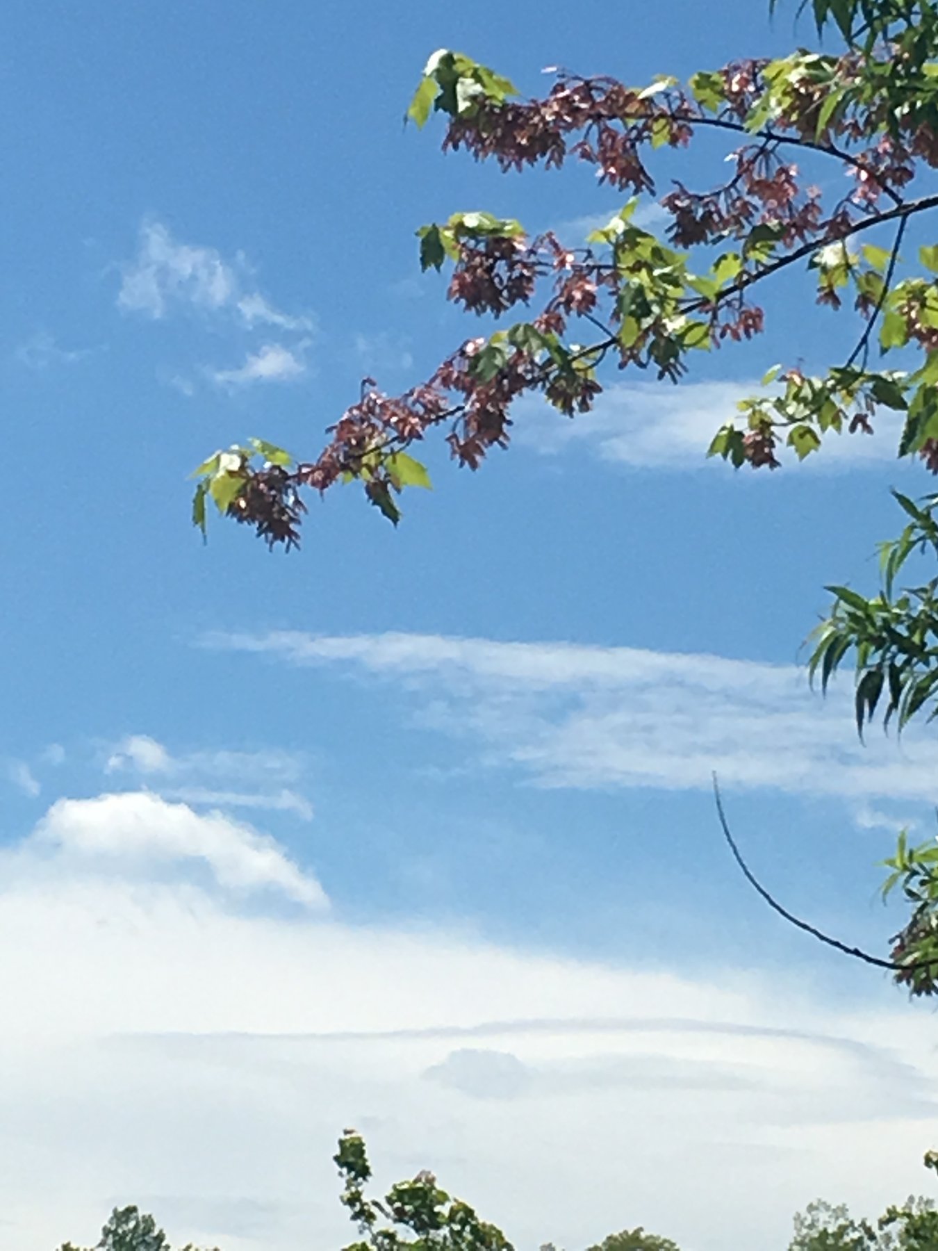 Maine, June 15, 2019.