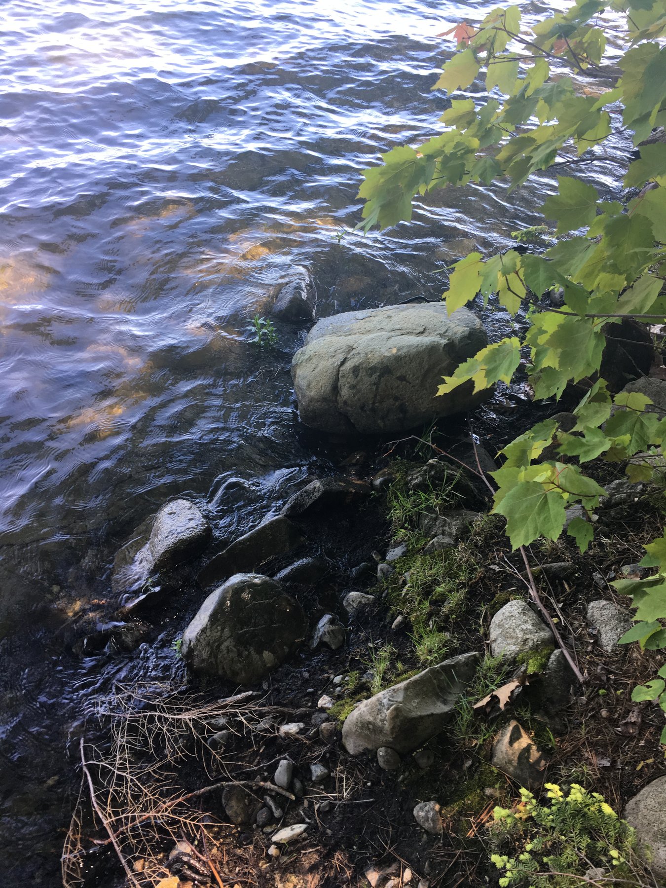 Maine, June 15, 2019.