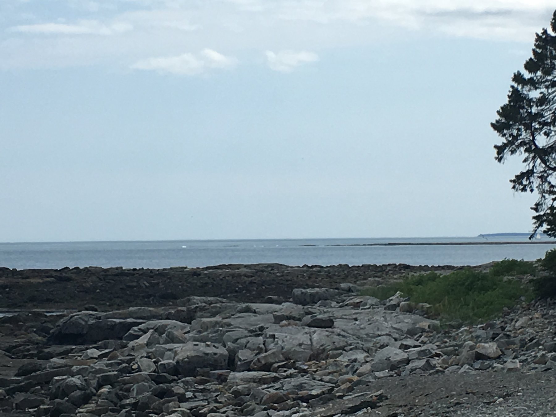Maine, July 15, 2019.