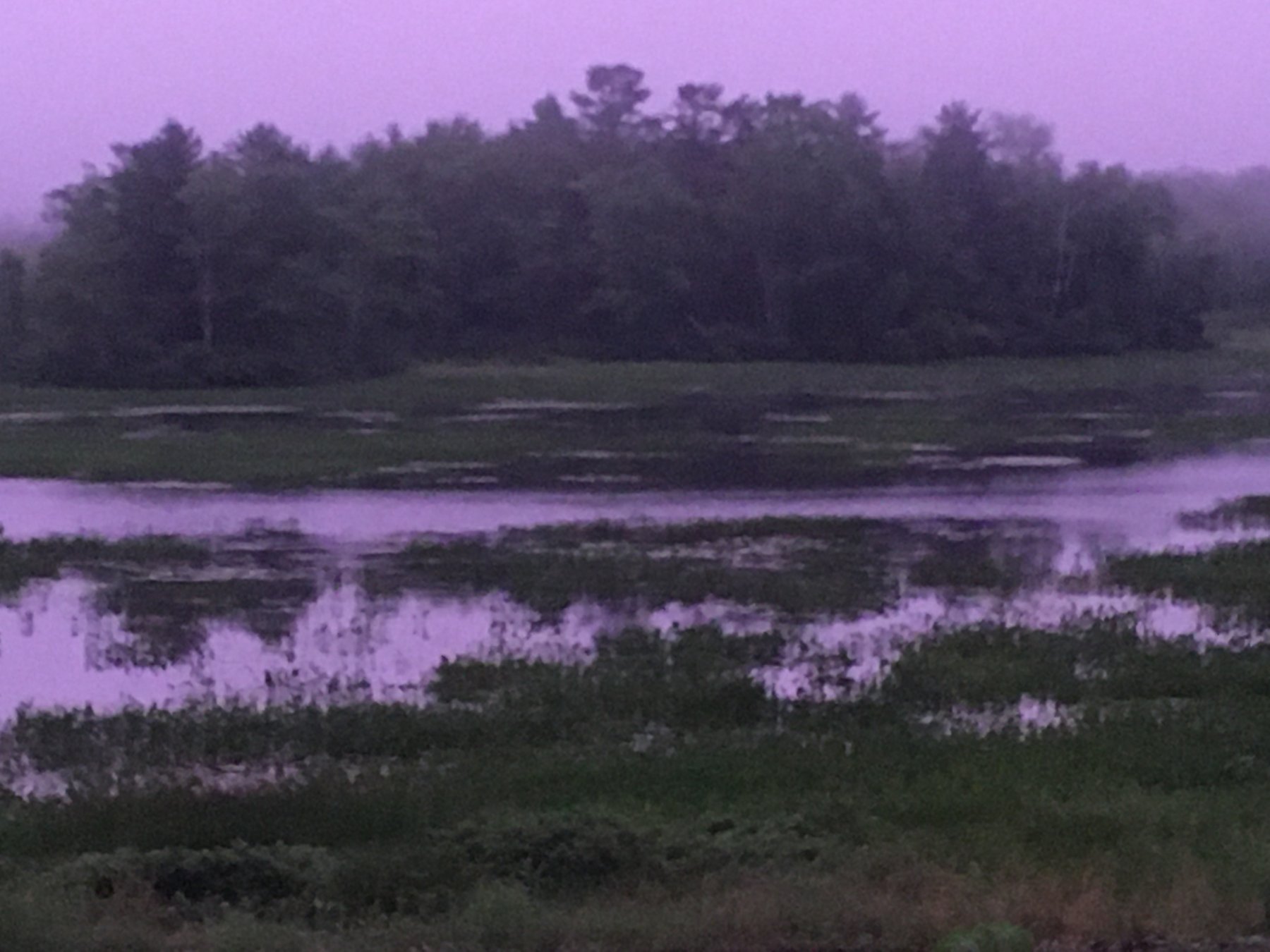 Maine, July 9, 2020.