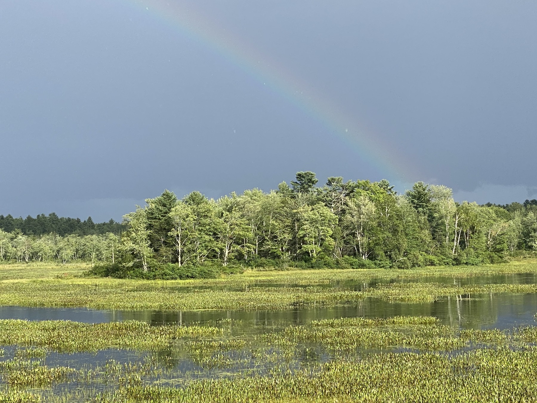 Maine, August 19, 2020.