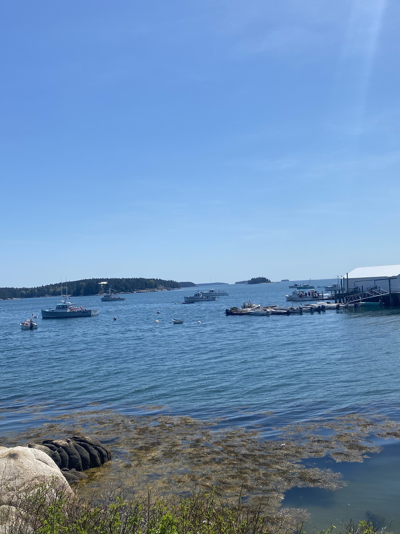 Maine, May 15, 2021.