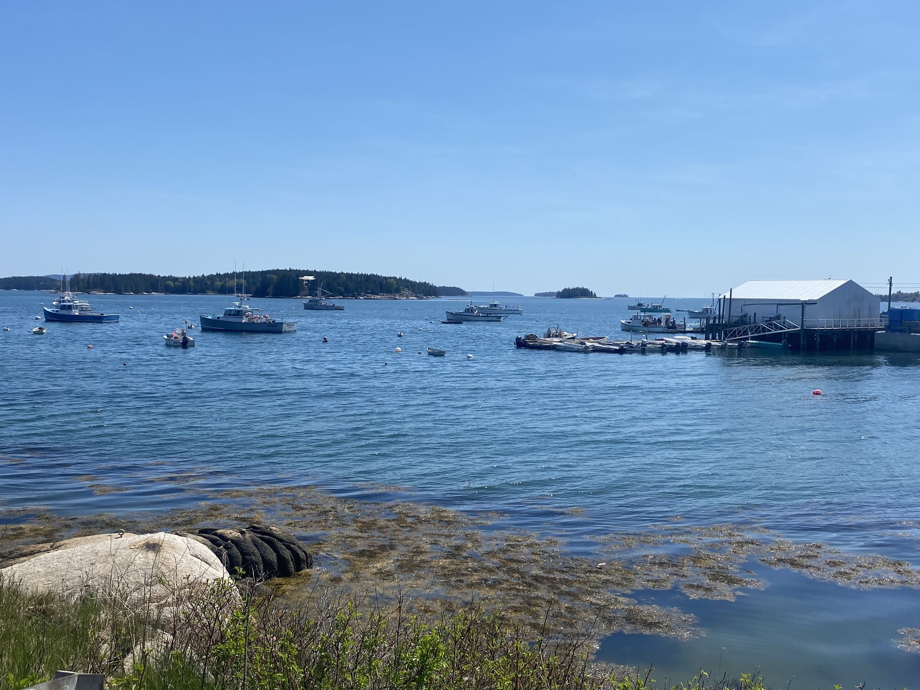 Maine, May 15, 2021.