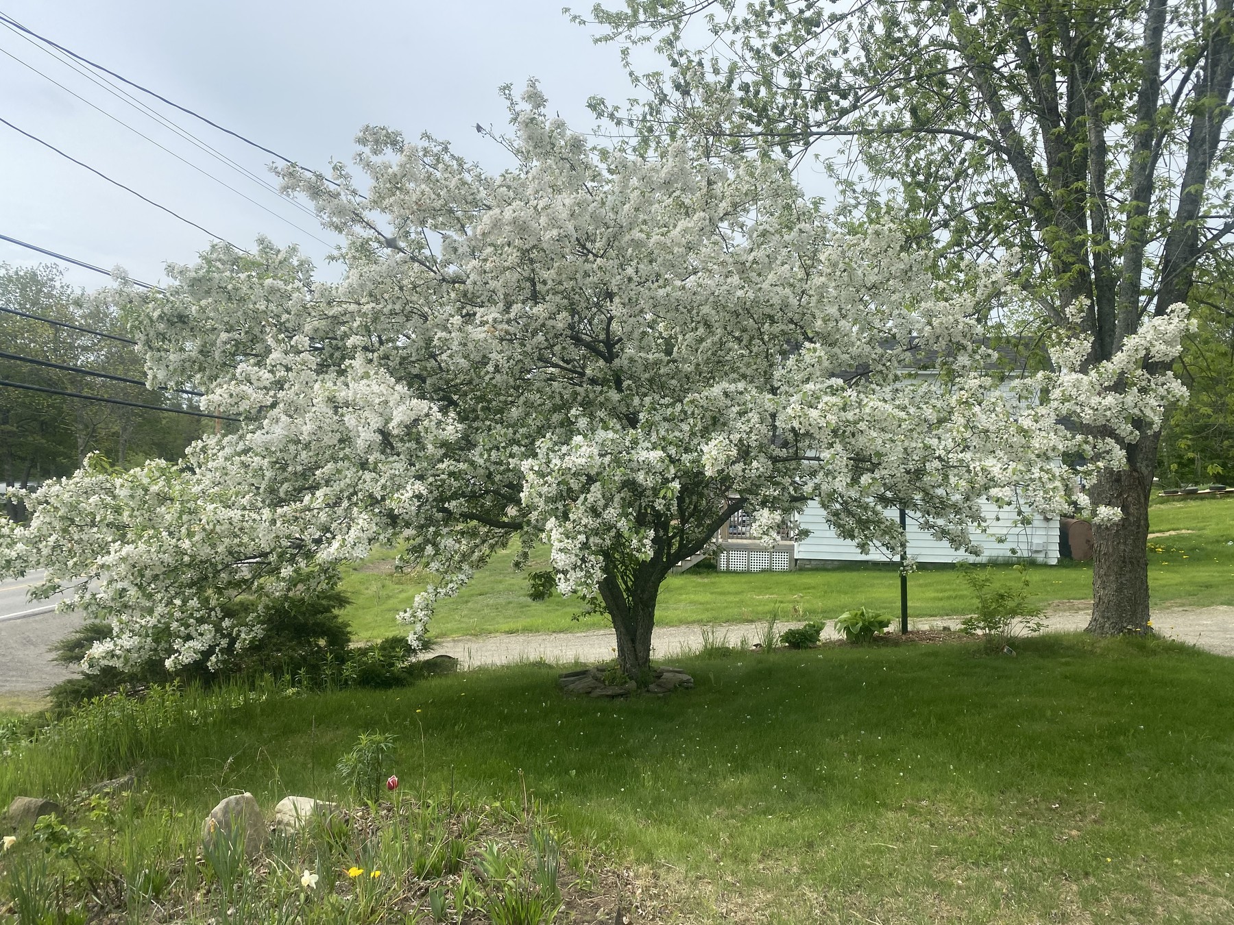 Maine, May 22, 2021.