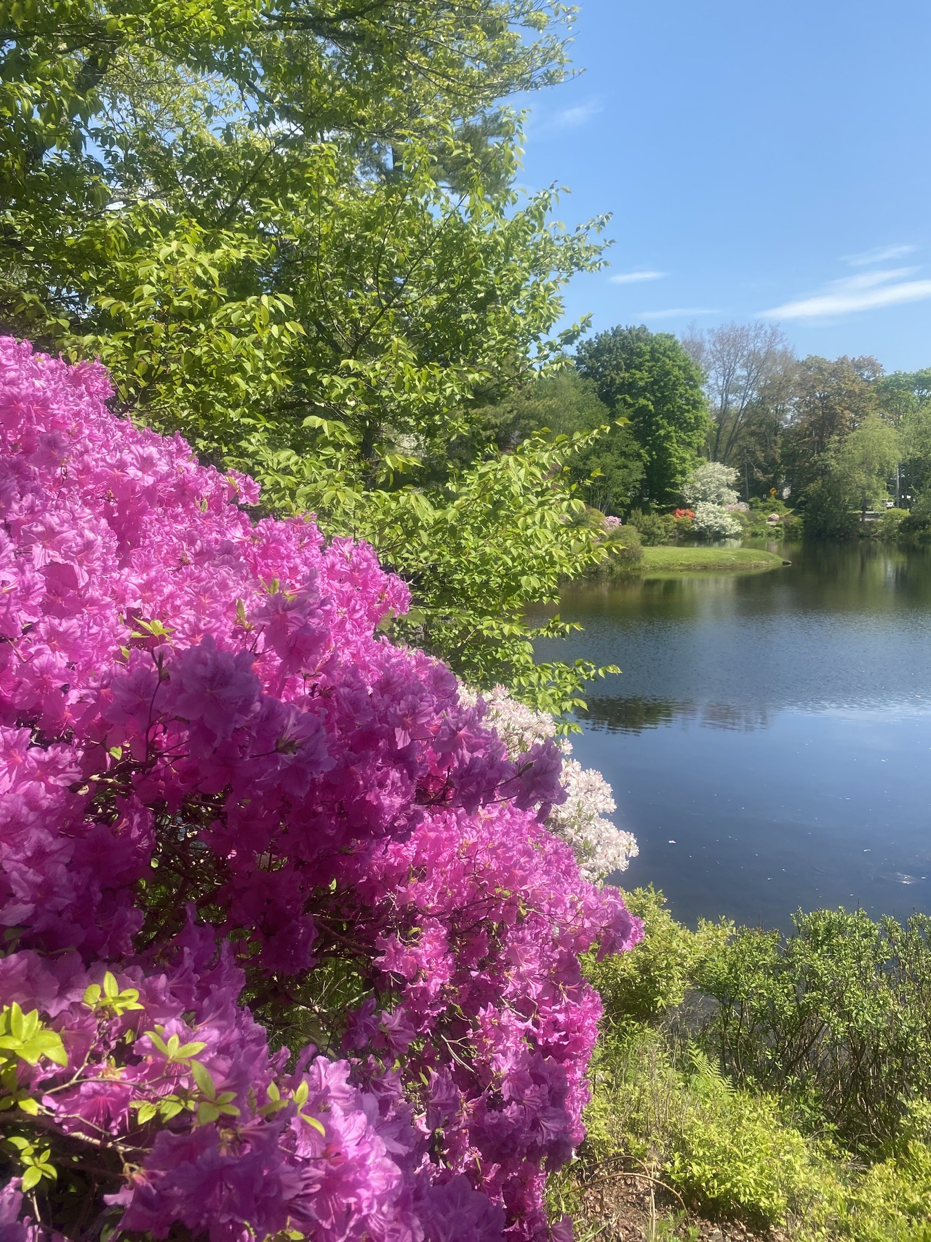 Maine, May 26, 2021.