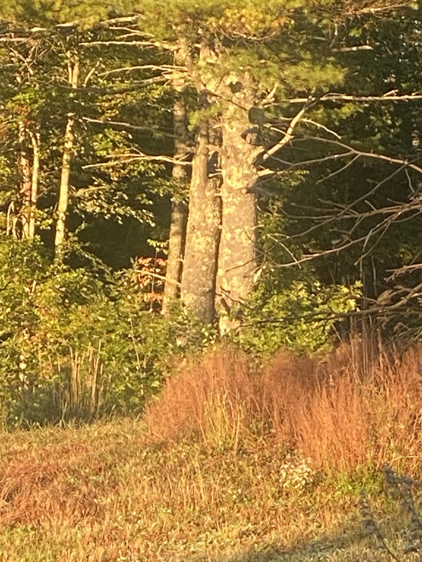 Maine, September 17, 2022.
