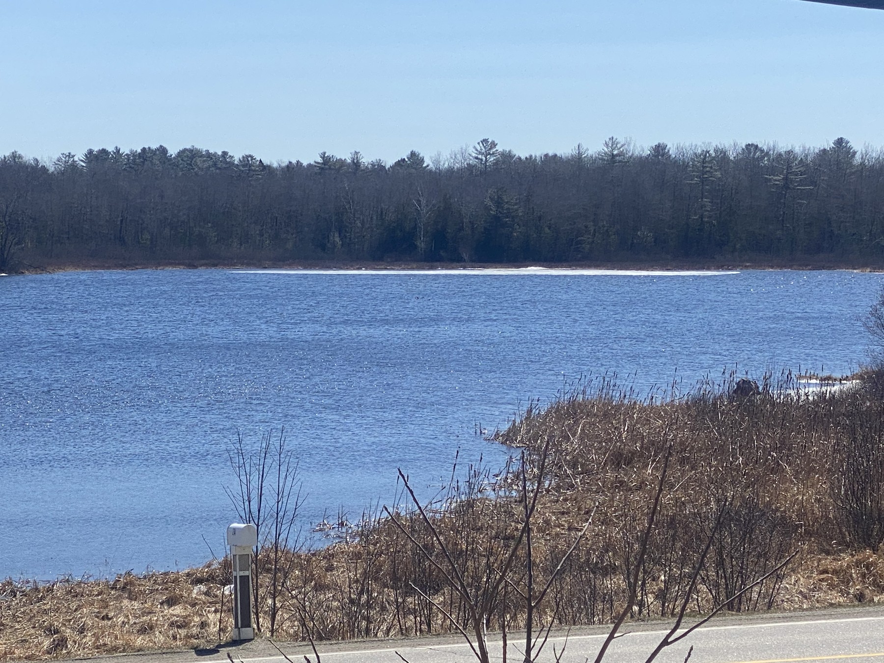 Maine, April 8, 2023.