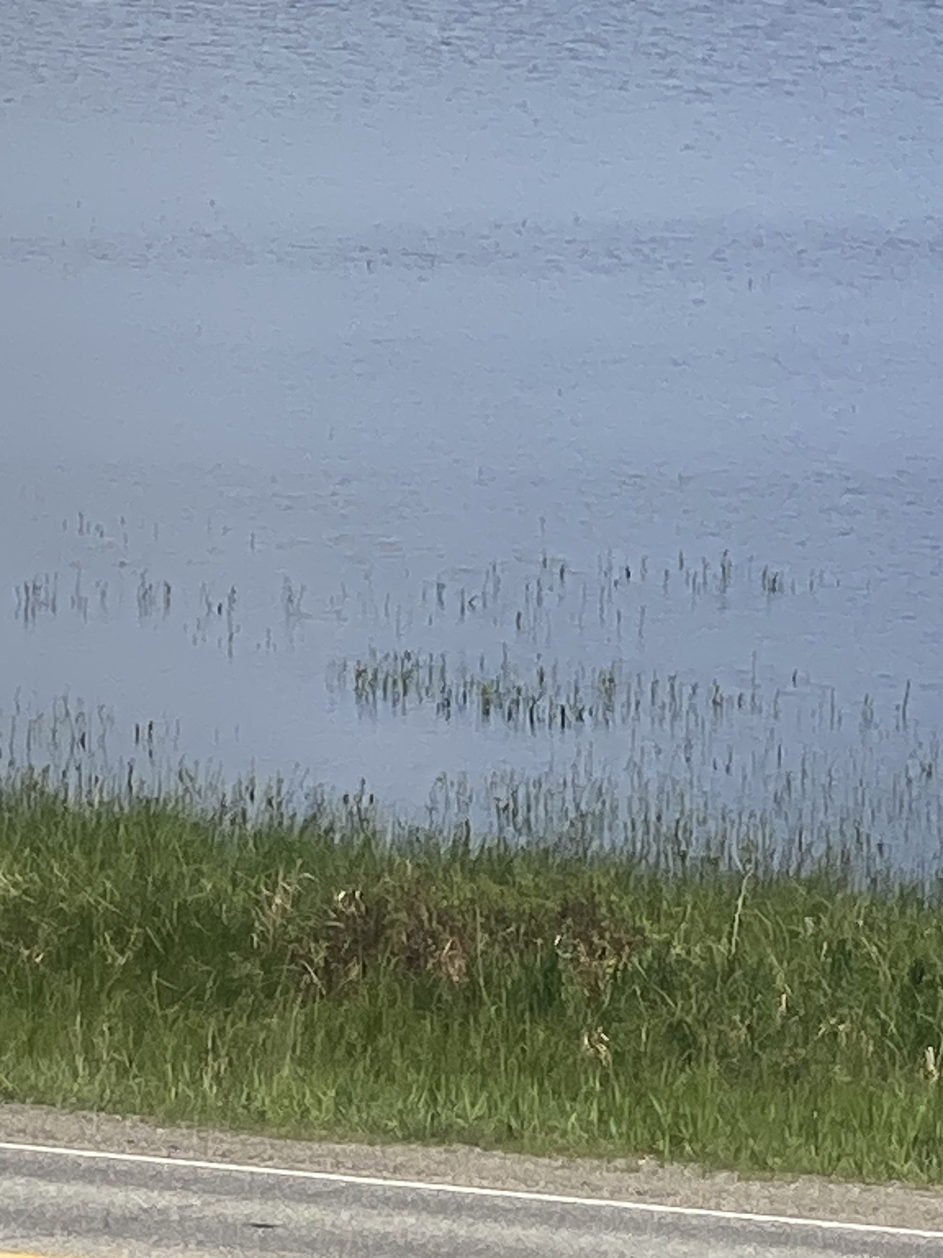 Maine, May 26, 2023.