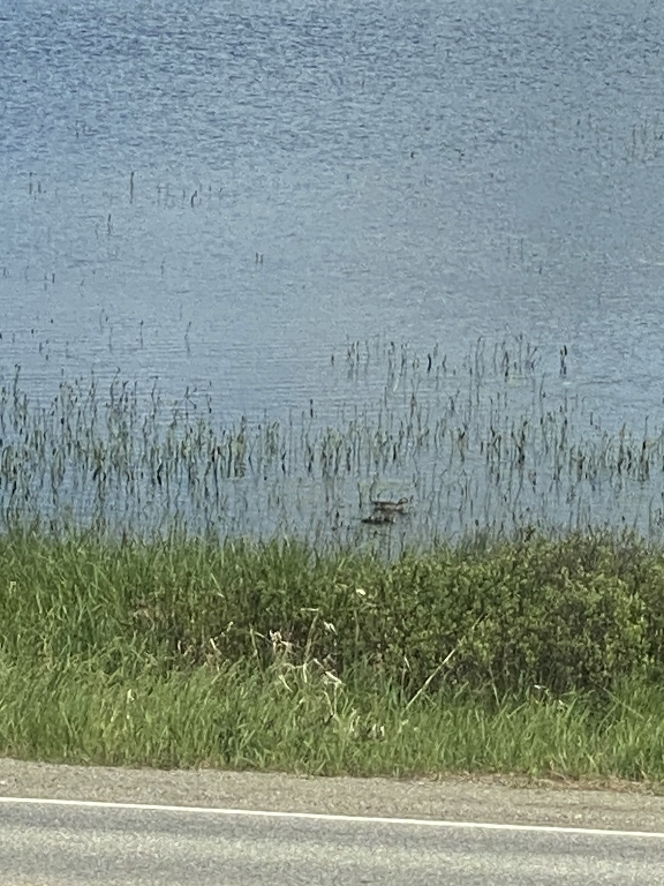 Maine, May 26, 2023.