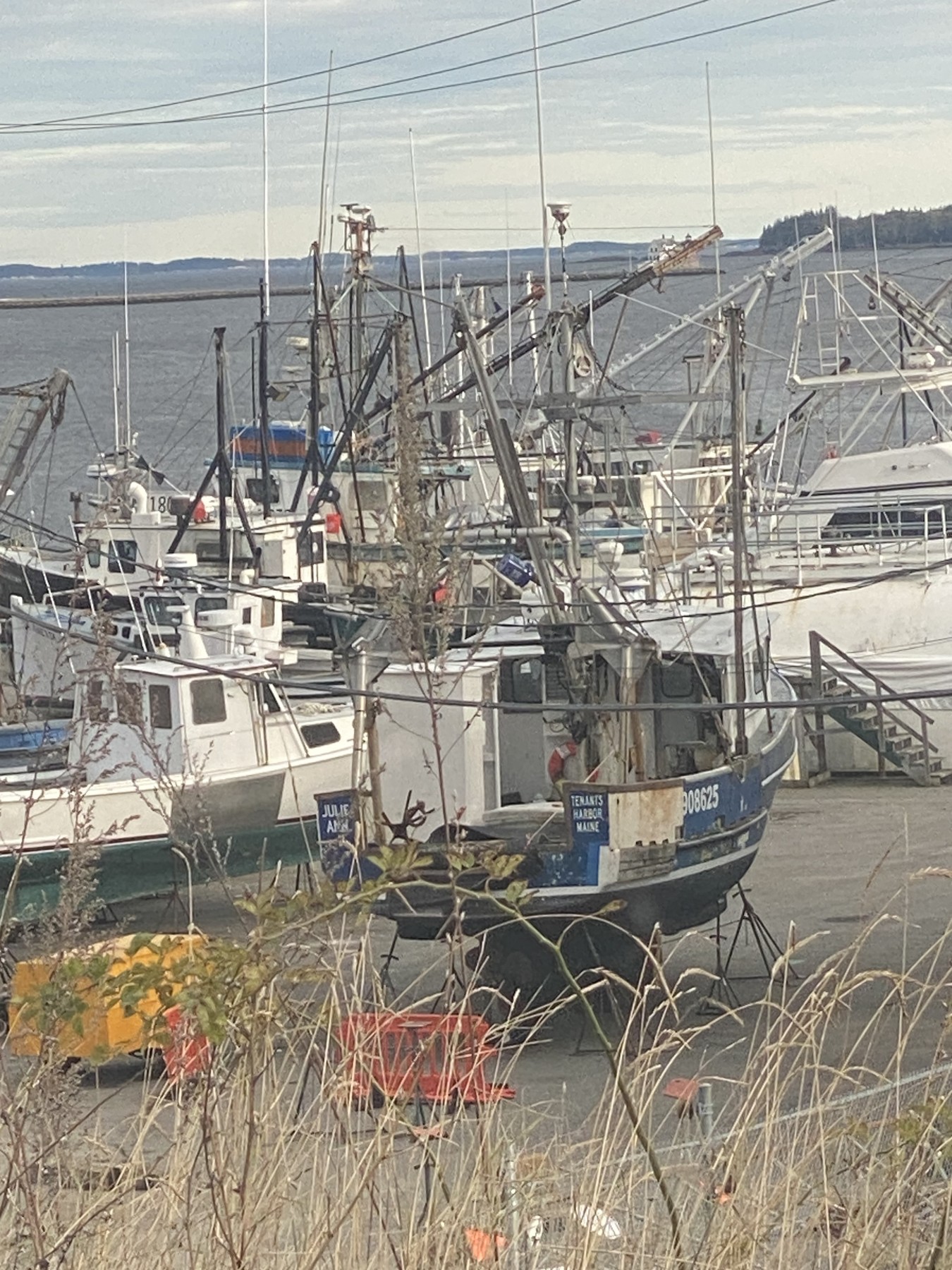 Maine, October 14, 2023.